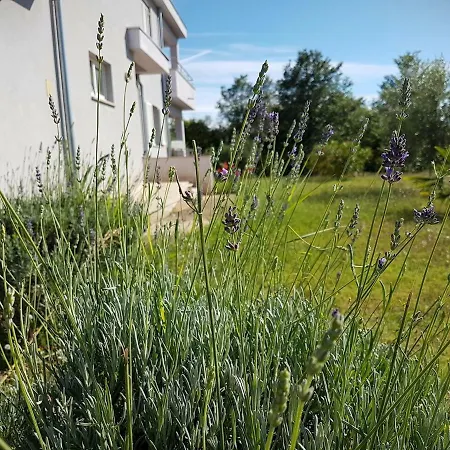 Vitalia 2+2 Apartment