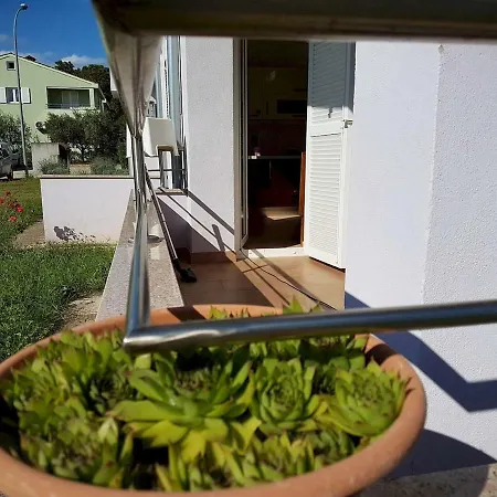 Vitalia 2+2 Apartman Poreč